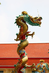 Fototapeta premium Dragon at Chinese temple in Thailand.