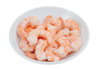 prepared shrimp isolated