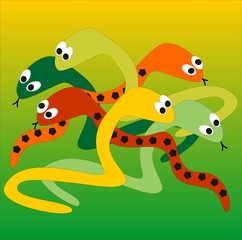 snakes, vector illustration