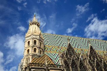 Foto auf Alu-Dibond St. Stephan cathedral in Vienna © sborisov