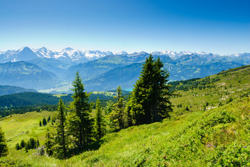 Mountain panorama from Niederhorn