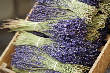 mazzo di lavanda