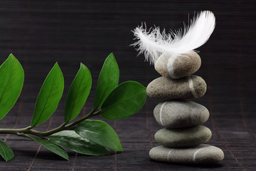 steins&auml;ule mit zweig