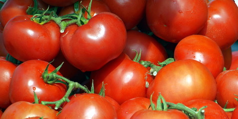 Bright Red Tomatoes for Sale