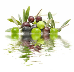 olive reflections