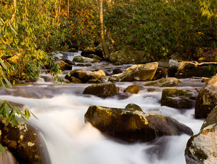 Raging stream in spring in Smokies