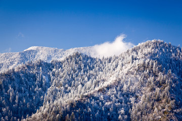 Obraz premium Mount leconte in snow in smokies