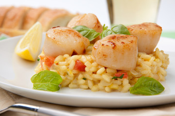 Scallops Risotto
