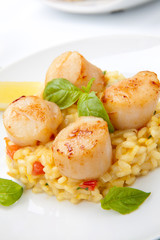 Scallops Risotto