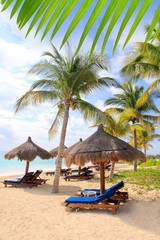 Fototapeta na wymiar Mayan Riviera Beach Palm drzew Karaiby szyberdach