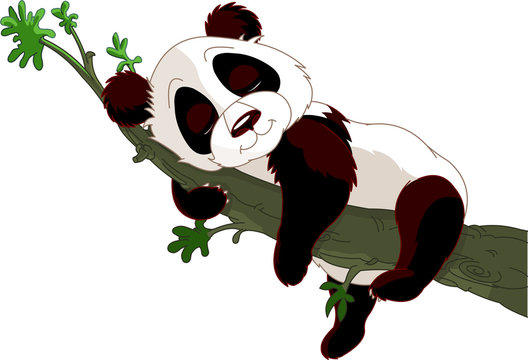 Panda sleeping on a branch