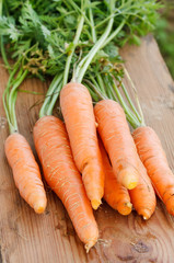 Fresh organic carrots