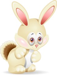 Coniglio Cartoon-Cartoon Rabbit-Vector