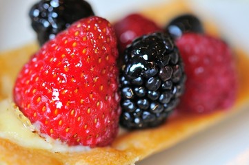 Macro of raspberry and boysenberry