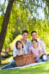 Family picnicking in the park