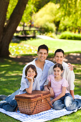 Family picnicking in the park