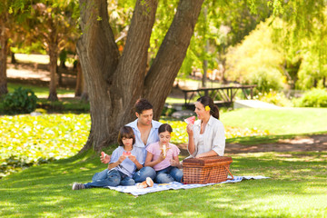 Cute family picnicking in the park