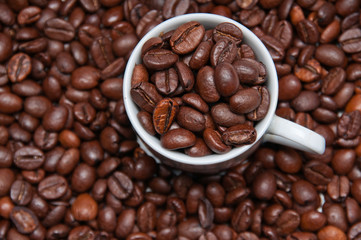 Closeup of cup filled with coffeee beans