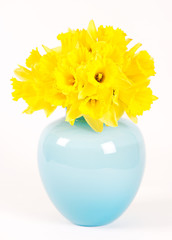 daffodils in a blue vase