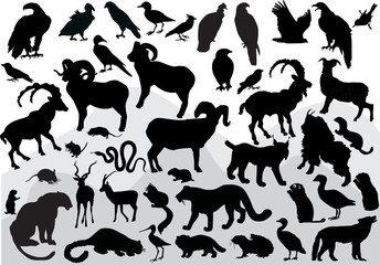 Fototapeta premium mountain animals collection isolated on white