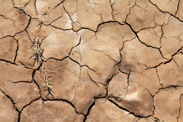 Dry soil background - global warming