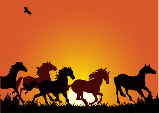 horse herd at red sunset illustration