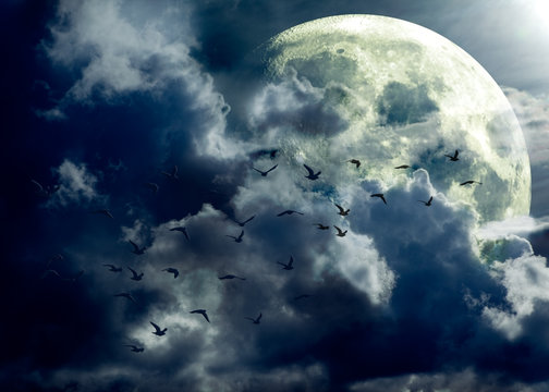 paisaje nocturno con luna llena