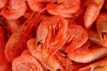 Gamberi