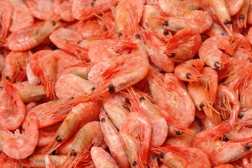 gamberi