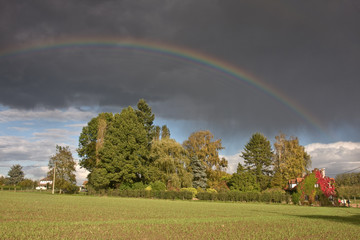 Rainbow and rain over a field in autumn
