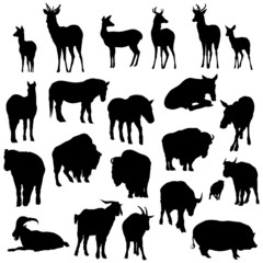 Set of deer, horses, goats, yaks, buffalos, pig   silhouettes.
