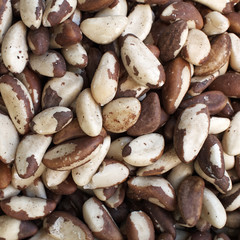 Brazilian nuts closeup, natural background