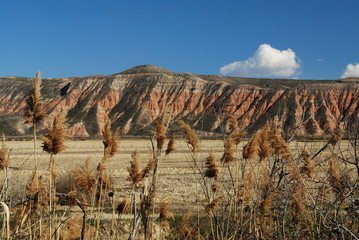 Bardenas Reales