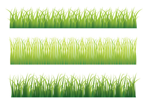 Green grass variation