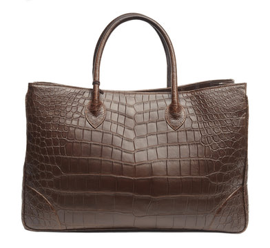 Bag From Skin Of Crocodile