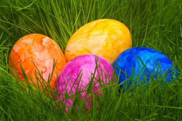 farbige Ostereier versteckt im Gras
