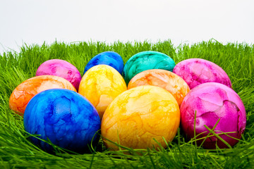 farbige Ostereier im Gras vor hellem Hintergrund
