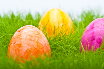 farbige Ostereier im Gras vor hellem Hintergrund