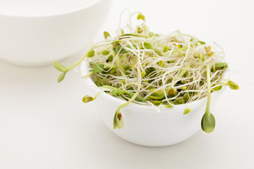 sprout mix in white bowl