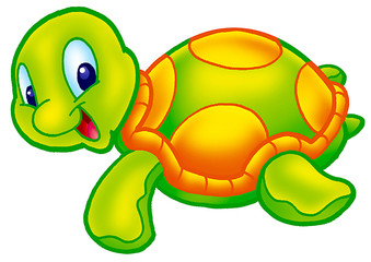 cute turtle