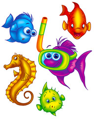 assorted colorful fish