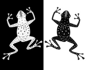 Two frogs