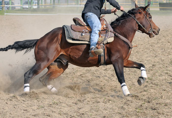 Running horse during a rodeo event