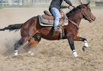 Wall murals Running horse during a rodeo event