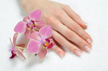 Beautiful hand with perfect nail french manicure and purple orch - 30787082