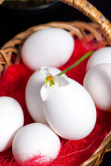 Basket full of easter eggs with spring flower