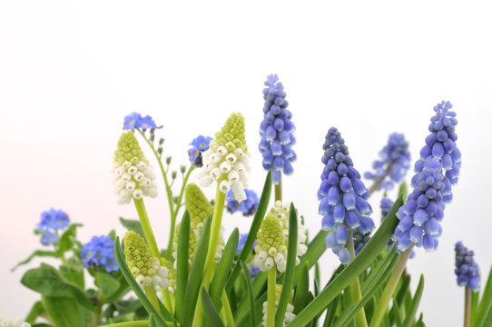 Fr&uuml;hling 02