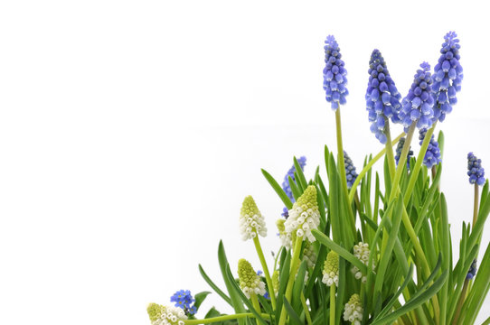 Fr&uuml;hling 03