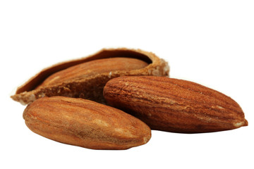 Obraz premium almond