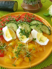 Bunter Salat mit Kresse und Ei